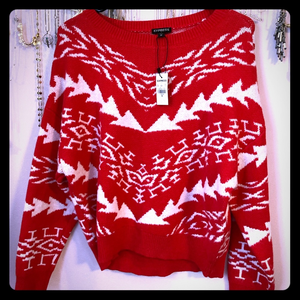 Express sweater